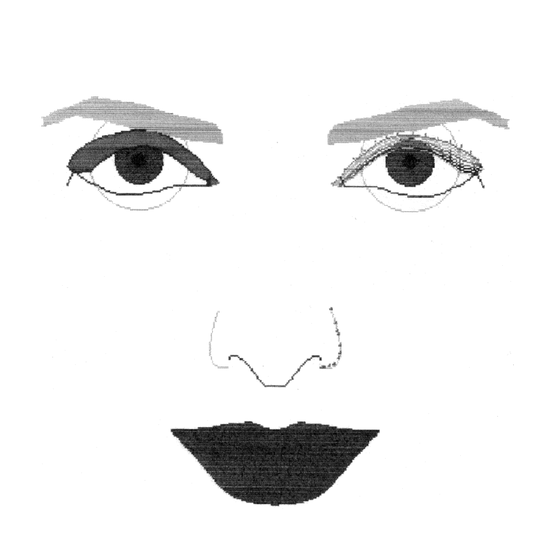 scan of an old 'face generator' printout